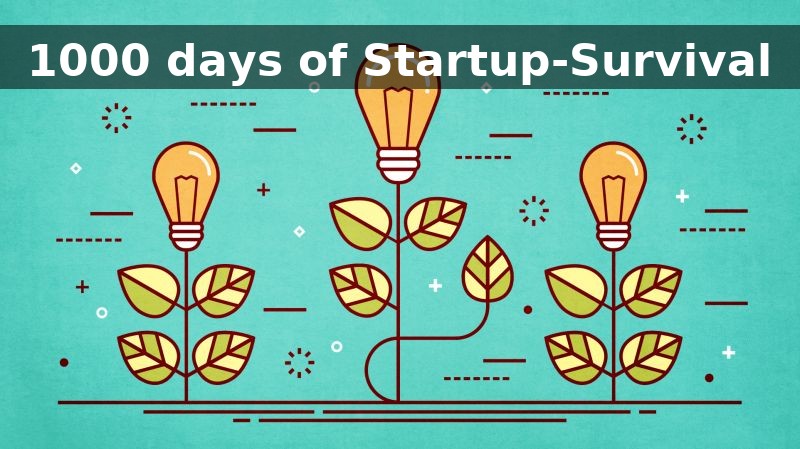 How Startups Can Survive the First 1000 Days?