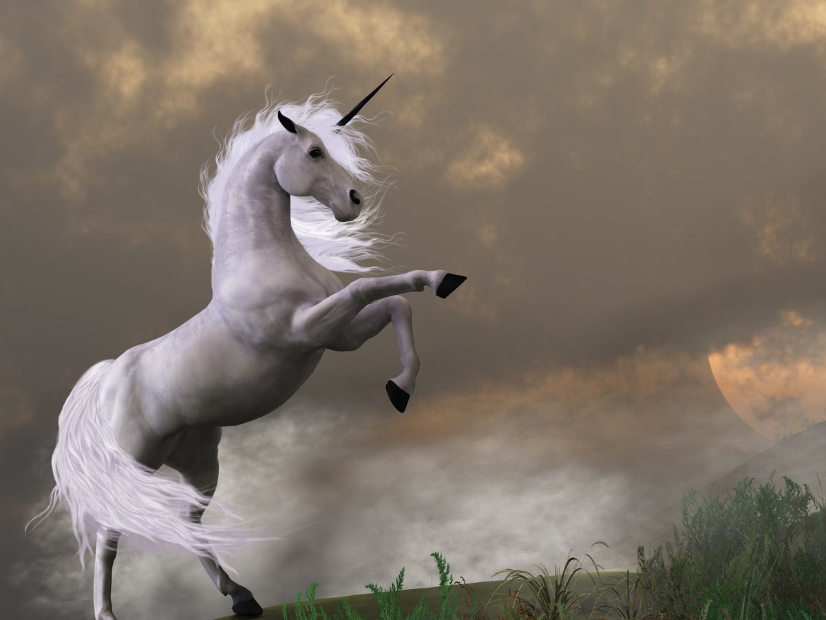 Unicorn Boom in India : Lessons for Aspiring Entrepreneurs