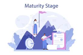Maturity and Market Leadership
